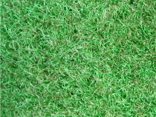 VerdePlay in Grass top view