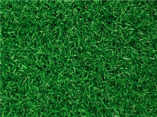 Verde Prime Lite Green