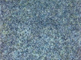 premier pad for cricket installation