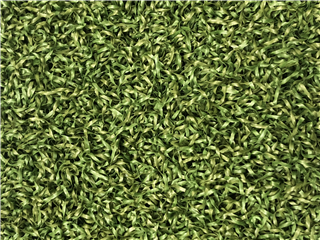 Verde Prime Green - 6.40m x 2.00m