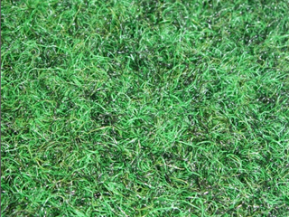 Verde Pitch Top - 5.90m x 4.00m