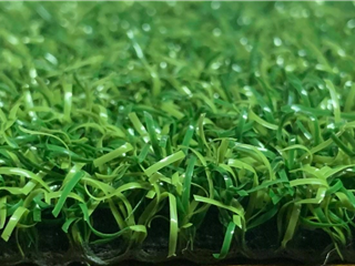 Verde Pro Putt 5.90m x 4.00m