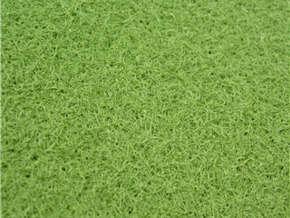 Scanabowl - 6.00m X 2.00m