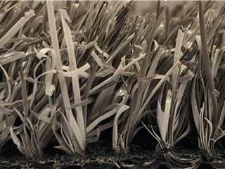 Groovy Grass Grey - 12.00m x 4.00m 