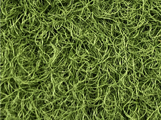 VerdeSward Olive - 1.80m x 2.00m