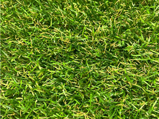 Verde Lotus 35mm - 2.00m x 2.00m