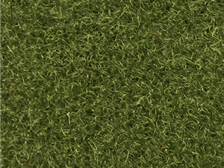 VerdePlay Olive - 1.80m x 2.00m