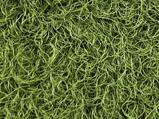 VerdeSward Olive - 6.80m x 4.00m