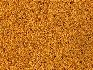 verde prime yellow