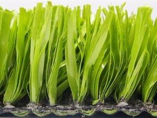 Verdeturf 2024 3.20m x 4.00m