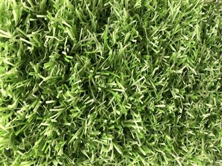lime groovy grass