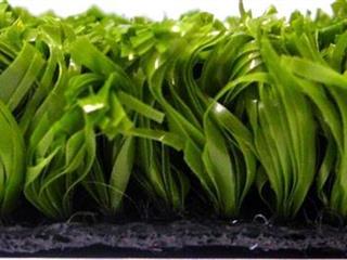 Super Verdegrass - 1.00m X 2.00m