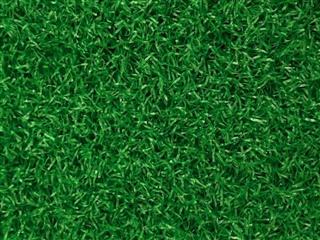 Verde Prime Lite Green