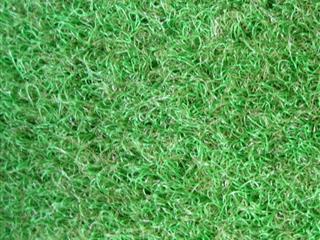 VerdePlay in Grass top view