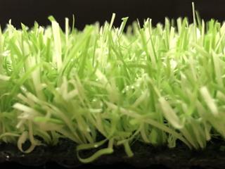 Groovy Grass Lime - 5.00m x 4.00m