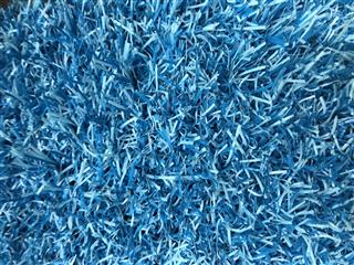 Groovy Grass Blue
