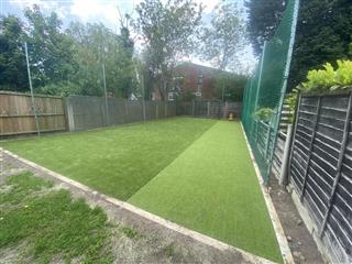 Cricket Strip for Home Use - Basic