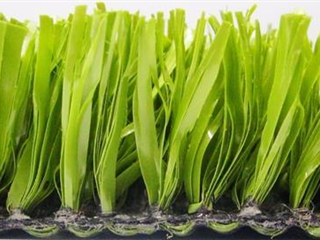 Verdeturf 3.00m x 2.00m