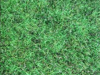 Verde Pitch Top - 6.00m x 4.00m