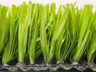 Verdeturf 3.00m x 2.00m