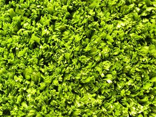 Super Verdegrass