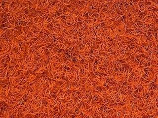 VerdeSward Sunset Orange