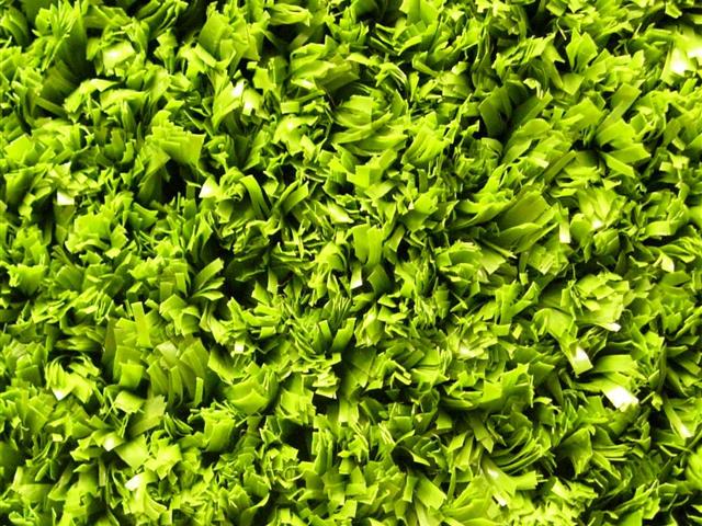 Super Verdegrass Cricket Wicket