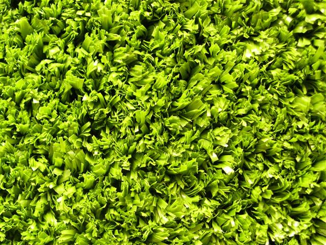 Super Verdegrass