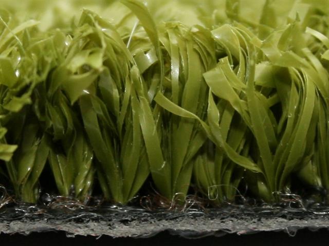 Side View Super Verdegrass