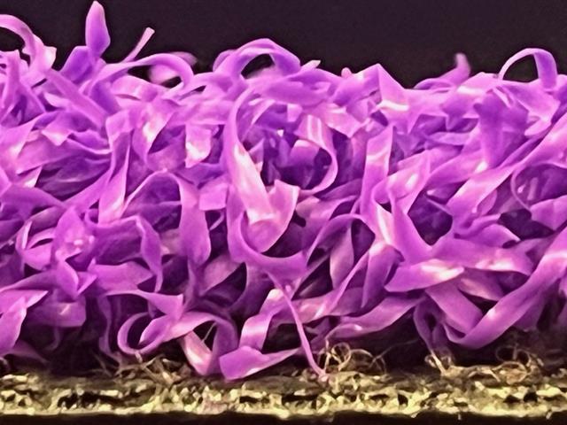 purple prime side view