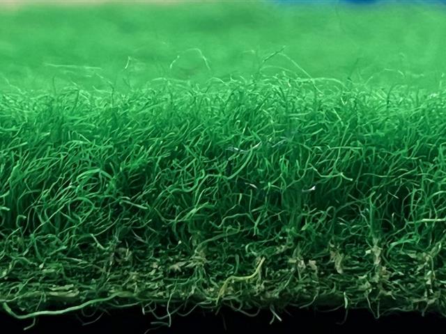 VerdeSward Green side view