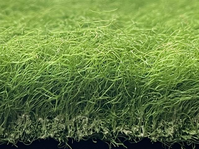 VerdeSward Olive - 6.80m x 4.00m