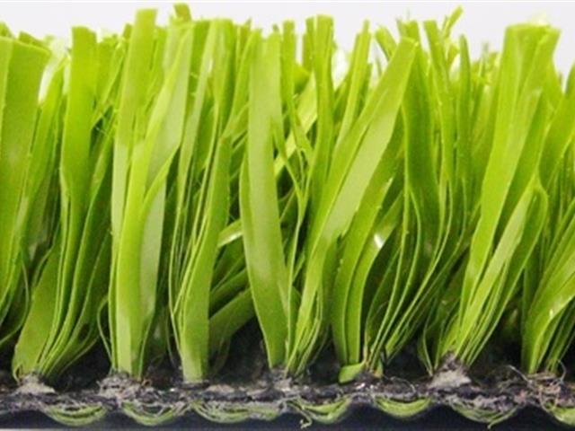 Verdeturf 2024 1.50m x 4.00m