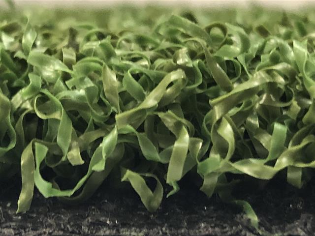 Special Offer on Verde Prime Green