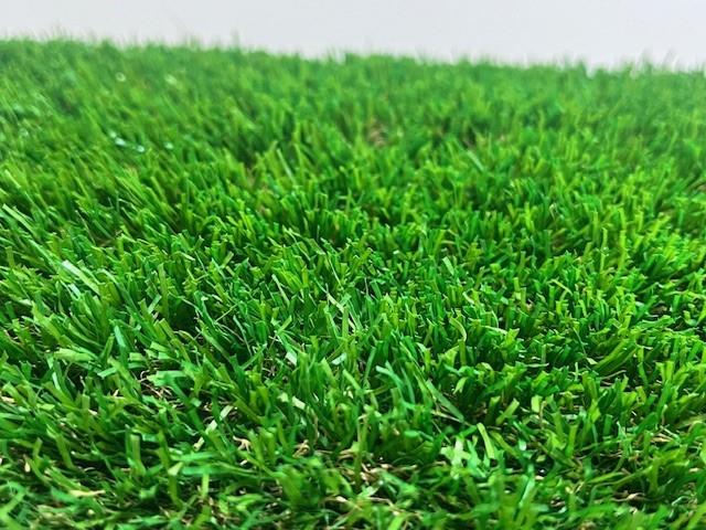 Side View of Verde Freedom