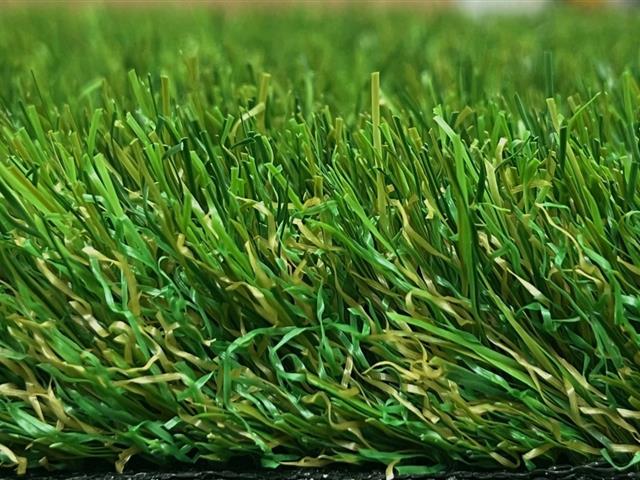 Side View Garden Grass