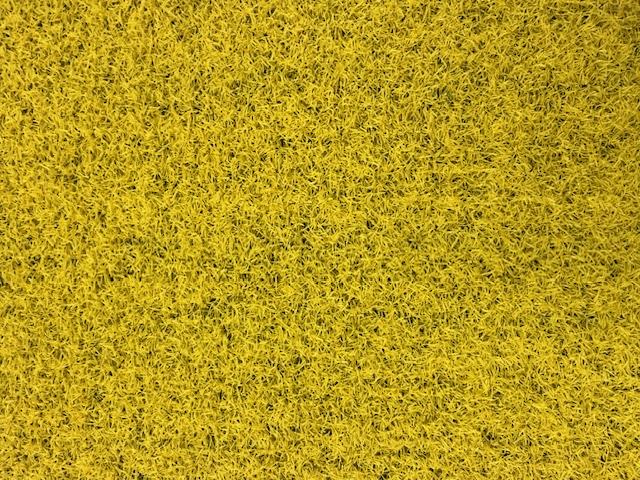 prime lite yellow