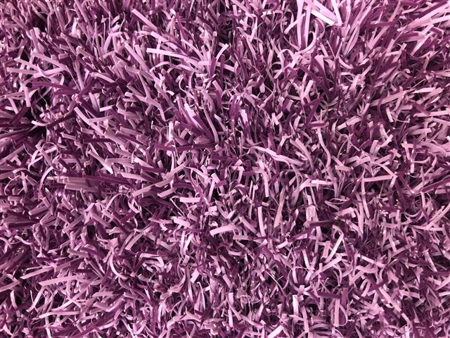 Groovy Grass Lilac - 0.80m X 0.42m