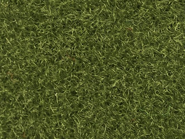 VerdePlay Olive 