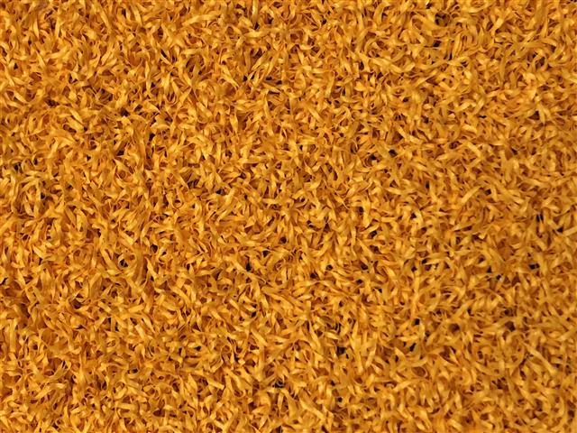 verde prime yellow