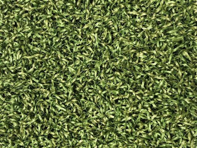 Verde Prime Green