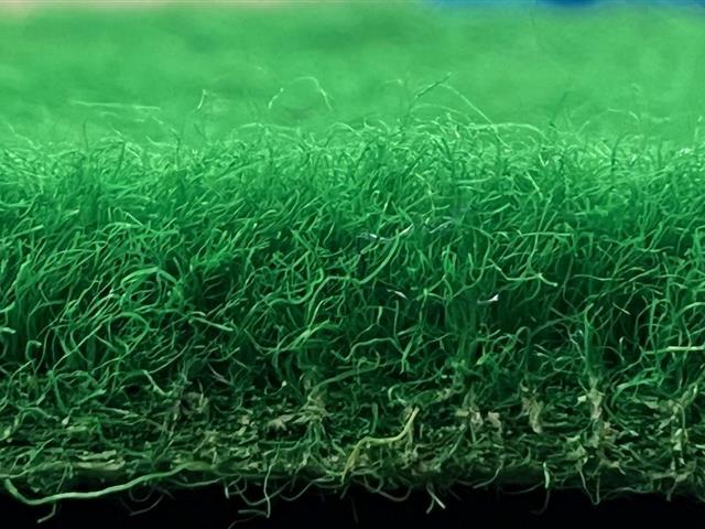 VerdeSward Green side view