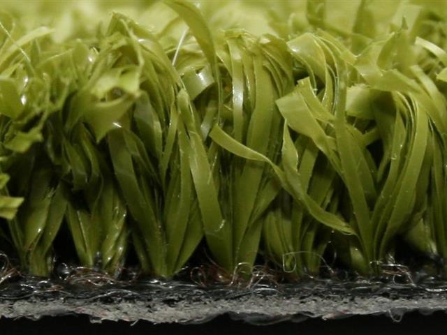 Side View Super Verdegrass