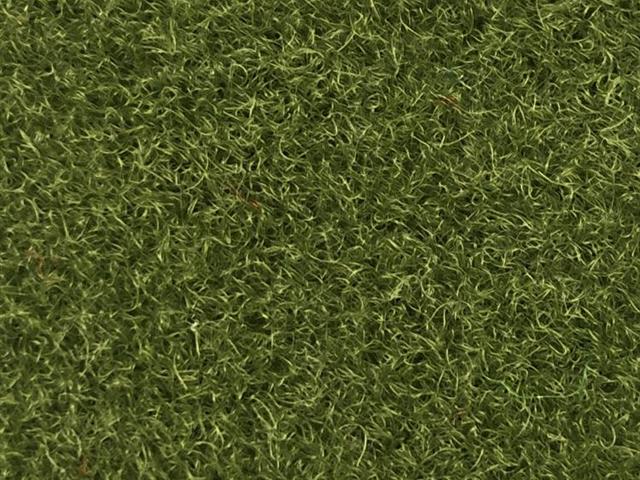 VerdePlay Olive 