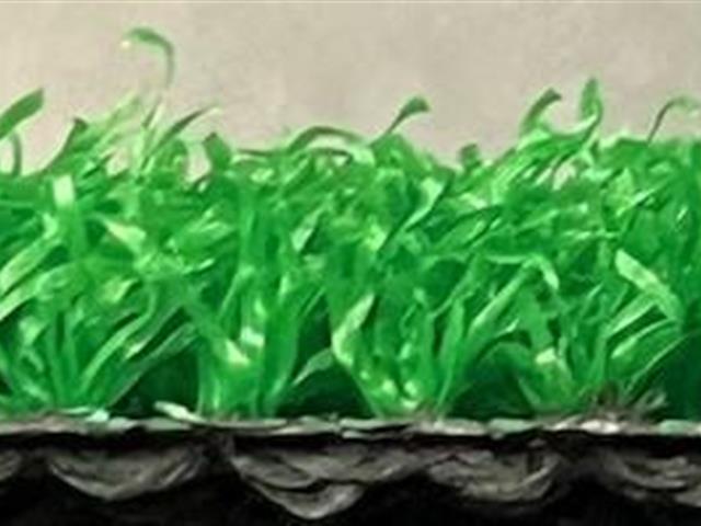 side view of green verde prime lite
