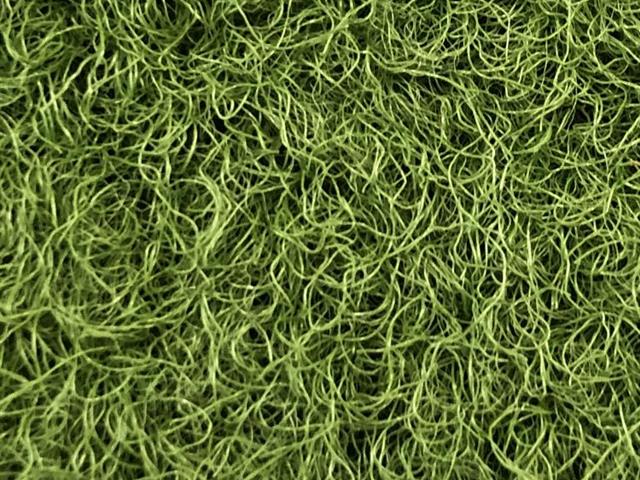 VerdeSward Olive - 6.80m x 0.40m
