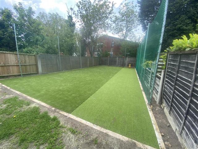 Cricket Strip for Home Use - Basic