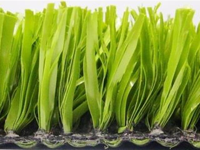 Verdeturf 2024 1.50m x 4.00m