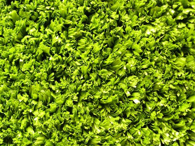 Super Verdegrass