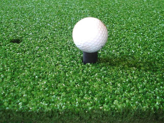 VerdeMat 2 Star Golf Mat